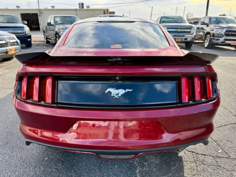 More photos of 2017 Ford Mustang EcoBoost at BISON AUTO, TX