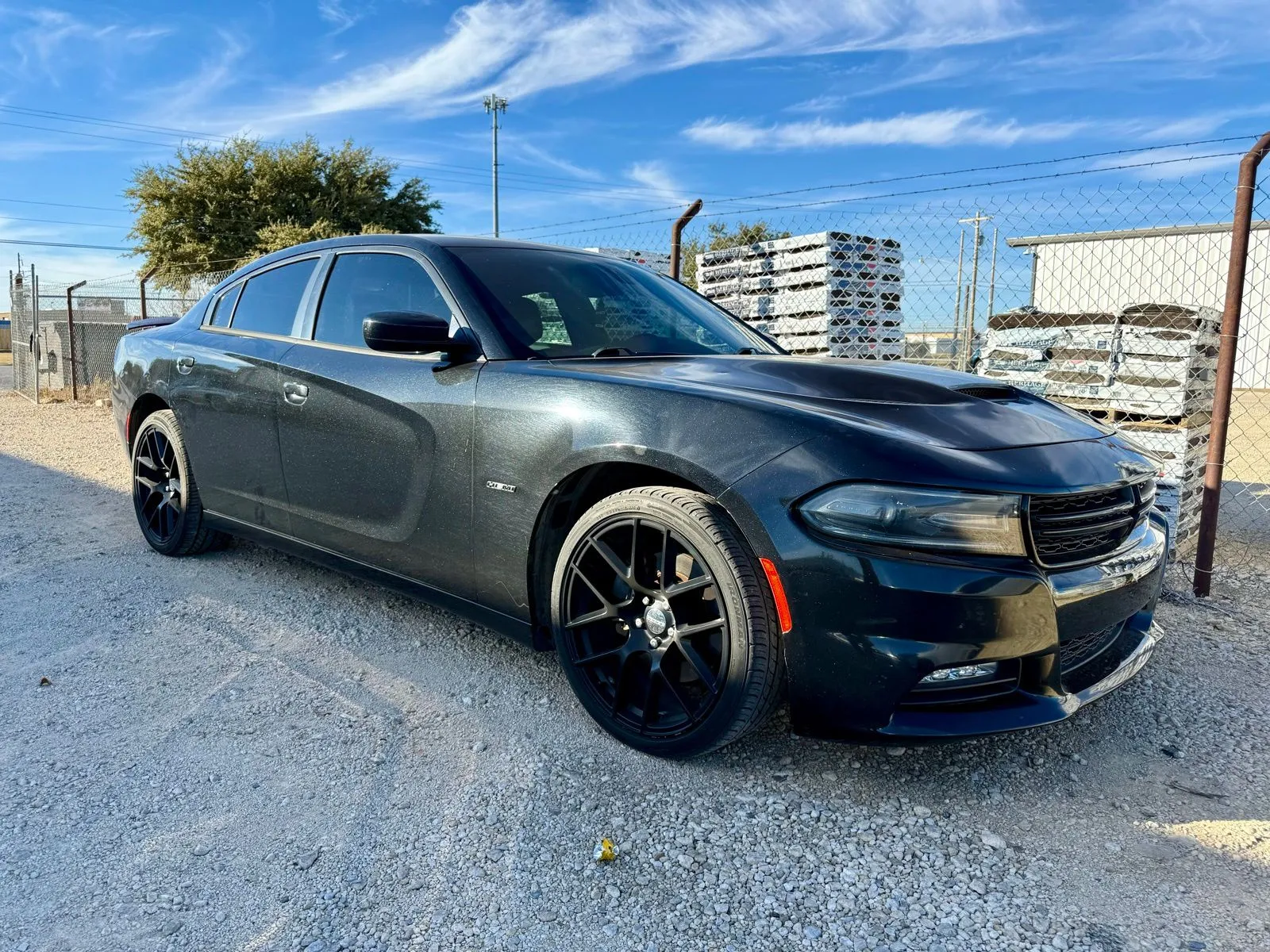 2015 Dodge Charger R/T's photo