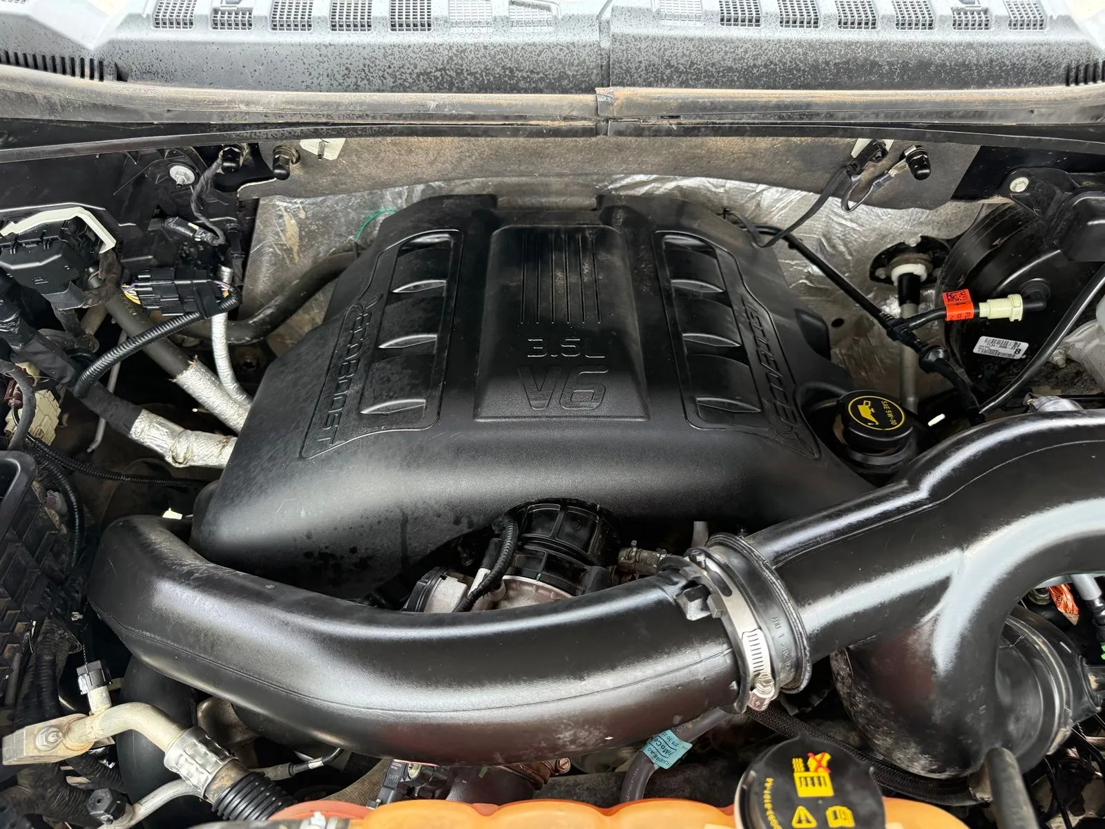 2016 Ford F-150 XLT - Photo 20