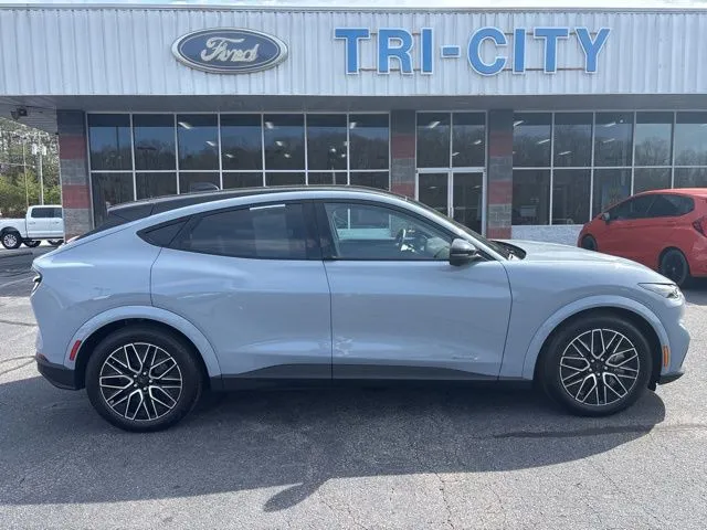 Gray 2025 Ford Mustang Mach-E Premium for sale in Eden, NC