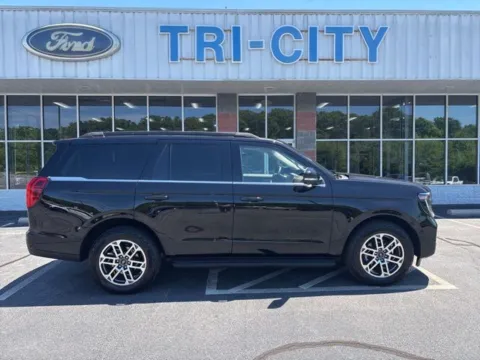 Black 2025 Ford Expedition Active for sale in Eden, NC