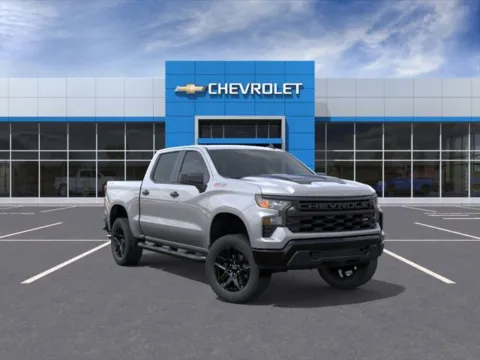 Gray 2026 Chevrolet Silverado 1500 Custom Trail Boss for sale in Davison, MI