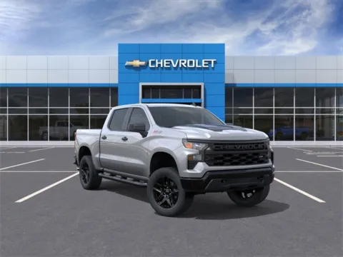 Gray 2026 Chevrolet Silverado 1500 Custom Trail Boss for sale in Davison, MI