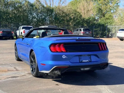 More photos of 2019 Ford Mustang EcoBoost at Hank Graff Chevrolet Davison, MI