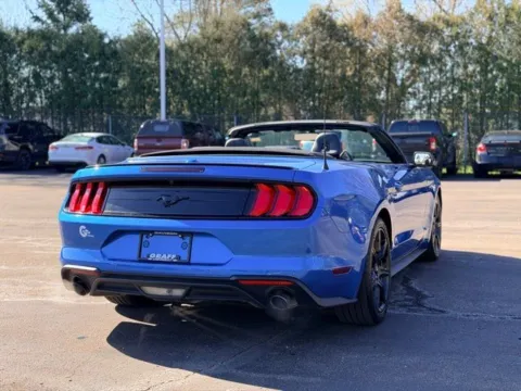 More photos of 2019 Ford Mustang EcoBoost at Hank Graff Chevrolet Davison, MI