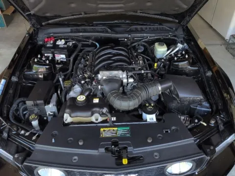 Black 2006 Ford Mustang GT Premium for sale in Davison, MI