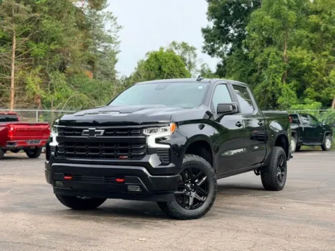 Black 2022 Chevrolet Silverado 1500 LT Trail Boss for sale in Davison, MI