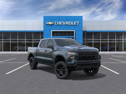 Gray 2026 Chevrolet Silverado 1500 Custom Trail Boss for sale in Davison, MI