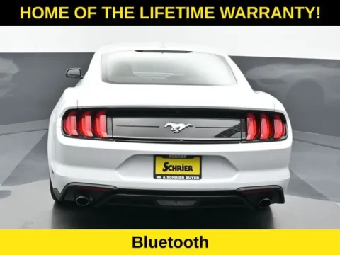 More photos of 2023 Ford Mustang EcoBoost at Schrier Automotive Inc, NE