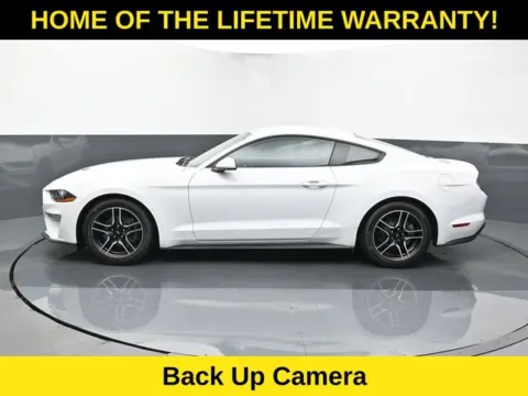 More photos of 2023 Ford Mustang EcoBoost at Schrier Automotive Inc, NE