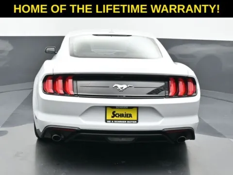 More photos of 2023 Ford Mustang EcoBoost at Schrier Automotive Inc, NE