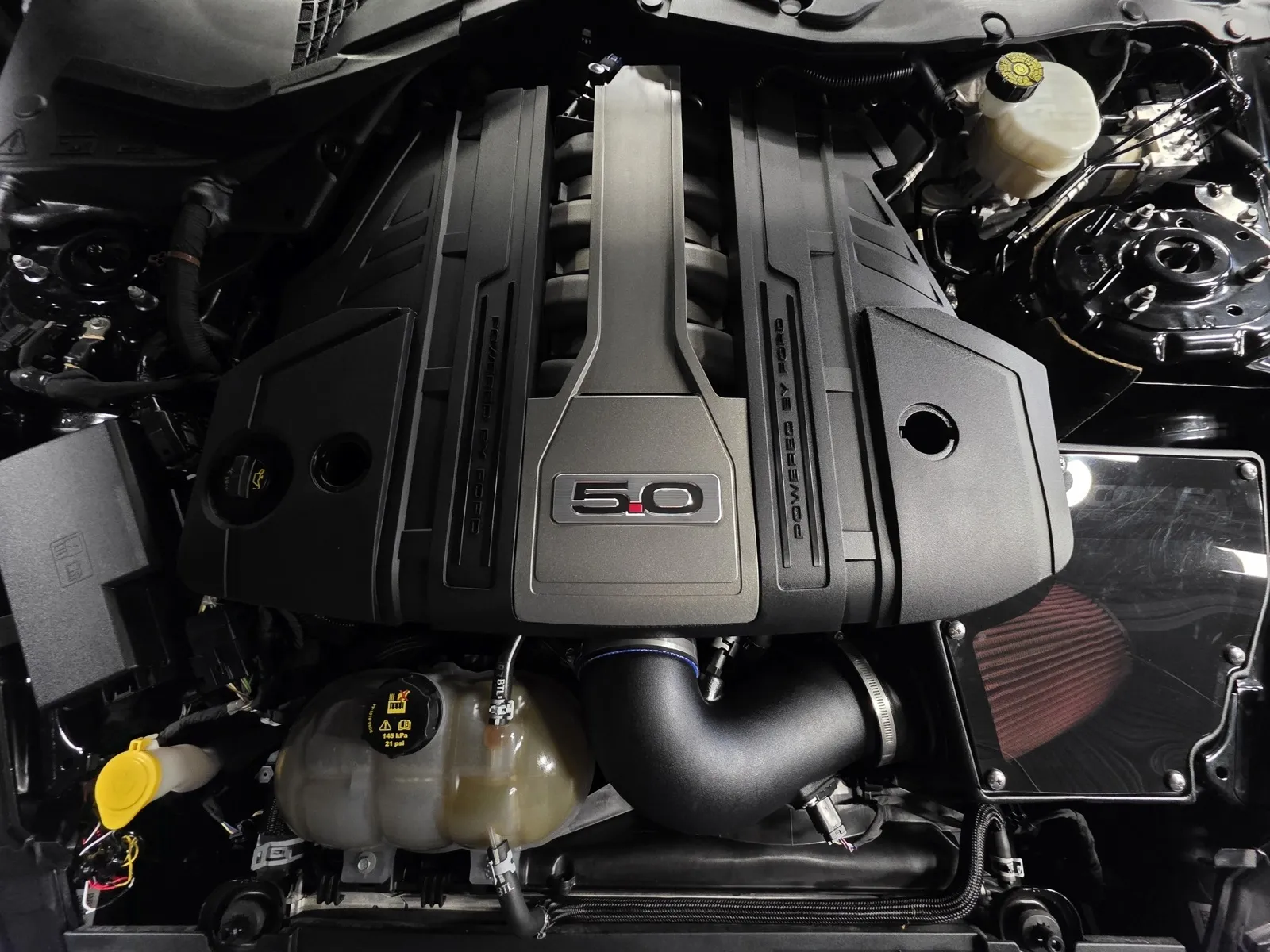 Another view of 2019 Ford Mustang GT Premium for sale in New Albany, IN at HyperCars