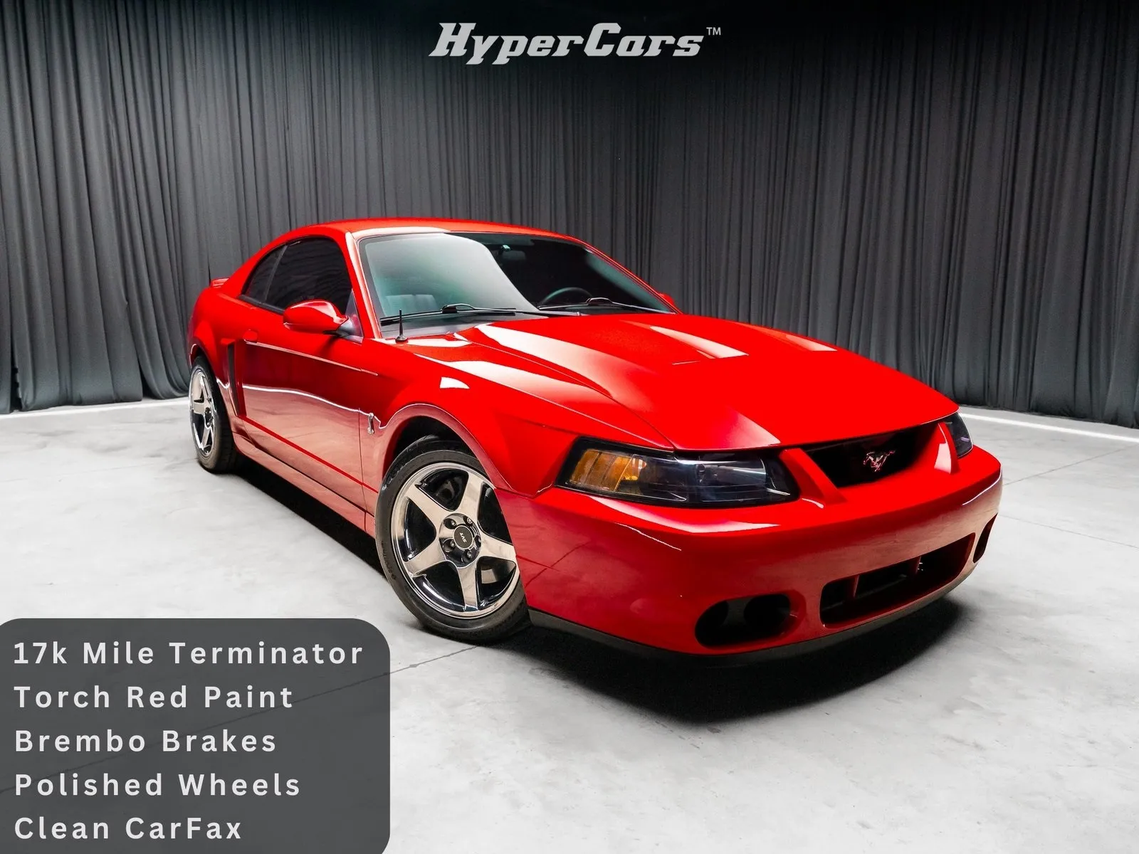 Beige 2004 Ford Mustang Cobra for sale in New Albany, IN