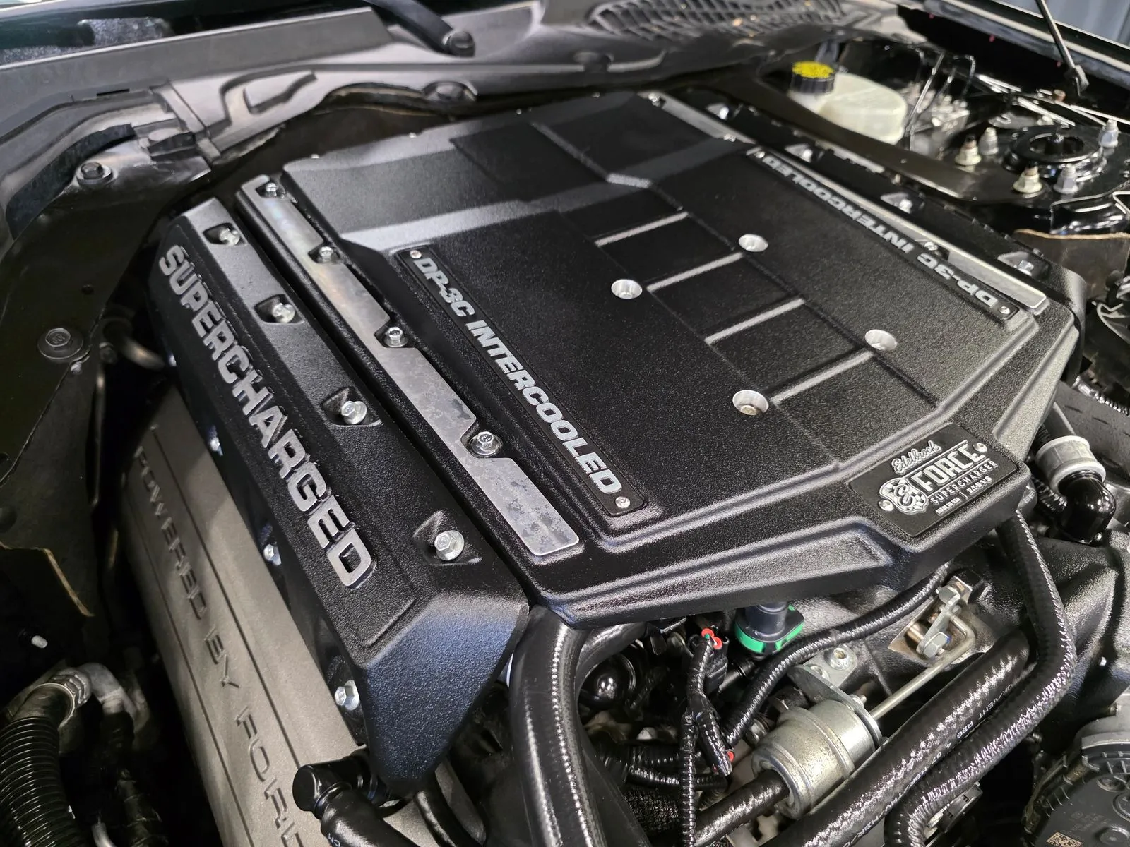 Photos of 2017 Ford Mustang GT for sale in New Albany, IN at HyperCars