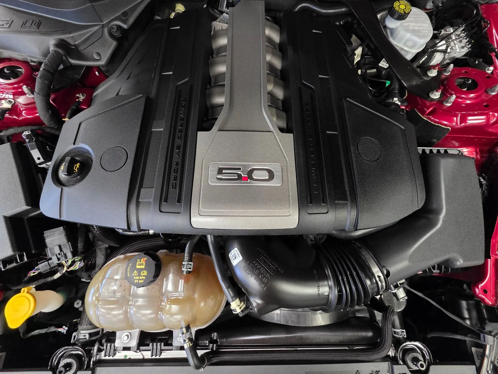 Another view of 2019 Ford Mustang GT Premium for sale in New Albany, IN at HyperCars