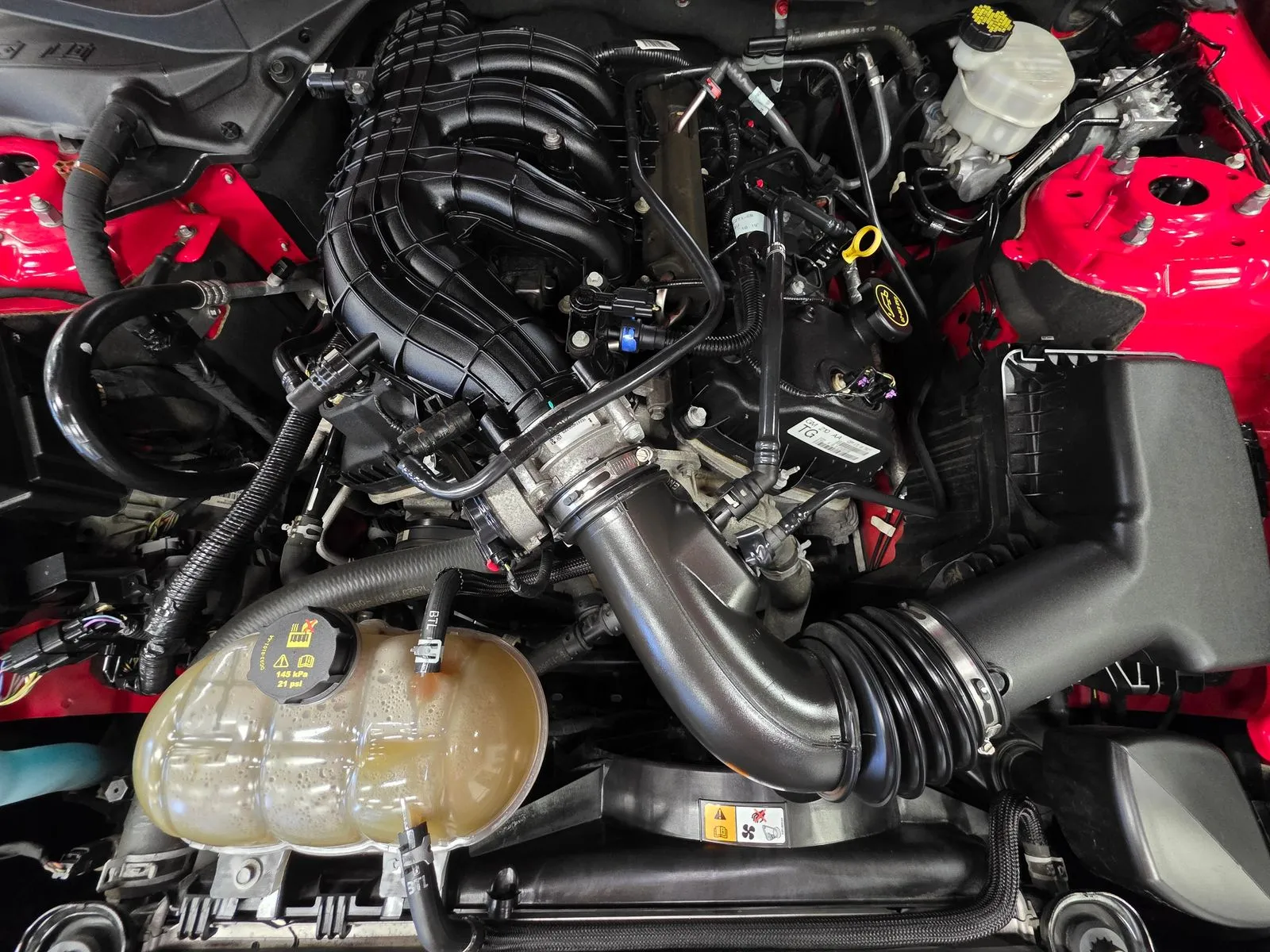 Another view of 2016 Ford Mustang V6 for sale in New Albany, IN at HyperCars