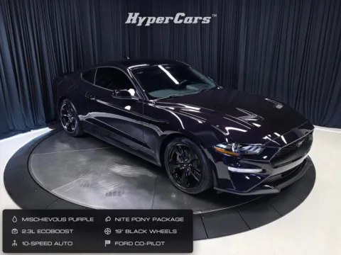 Purple 2023 Ford Mustang EcoBoost for sale in New Albany, IN