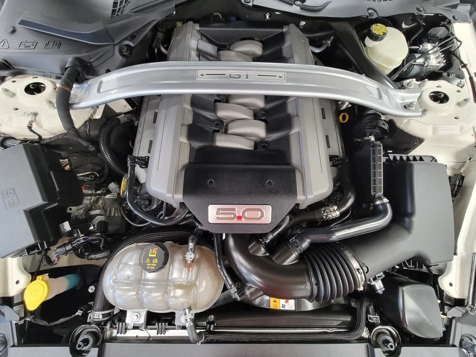 More photos of 2015 Ford Mustang GT 50 Years Limited Edition at HyperCars, IN