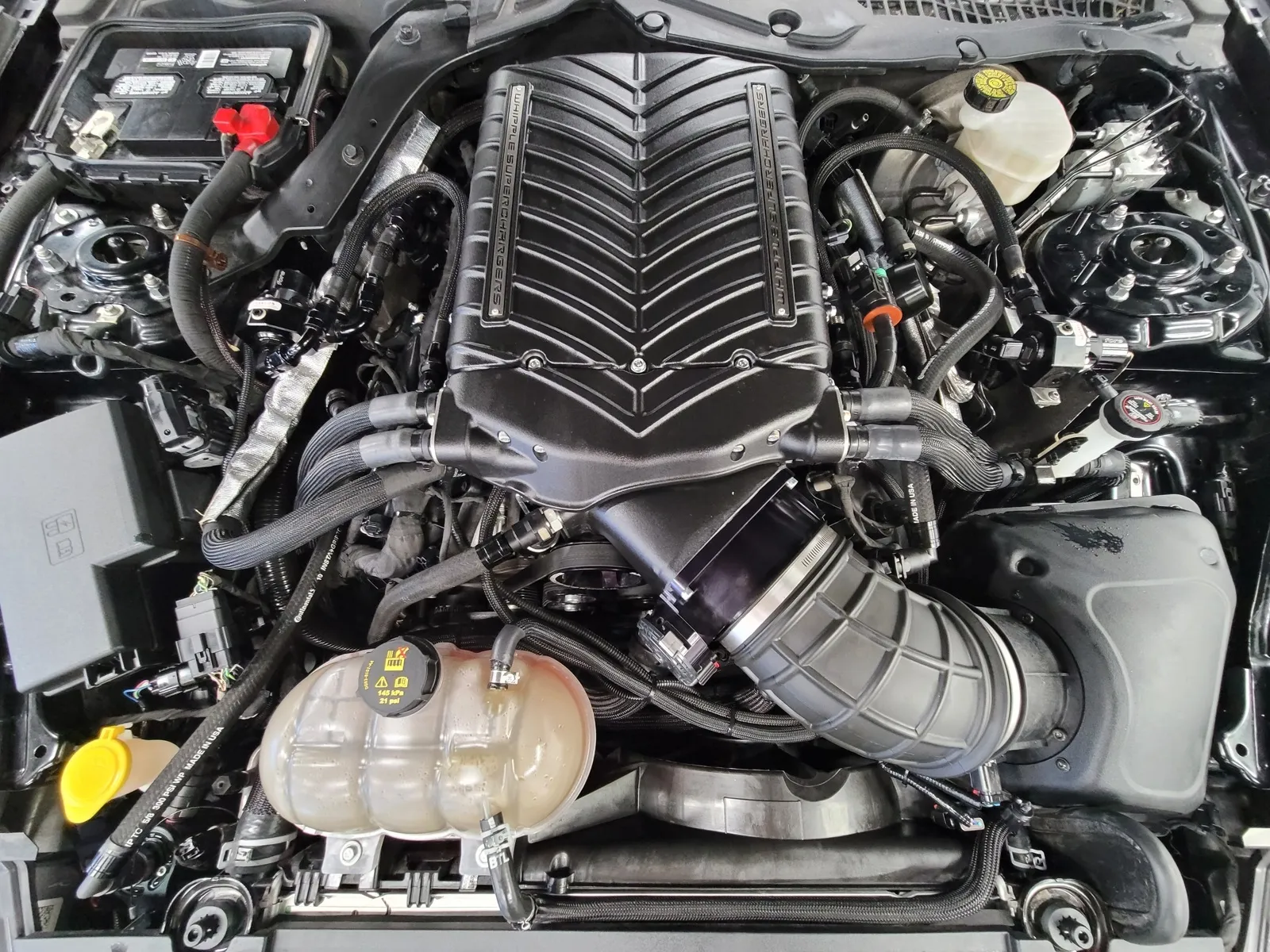 Another view of 2019 Ford Mustang GT Premium for sale in New Albany, IN at HyperCars