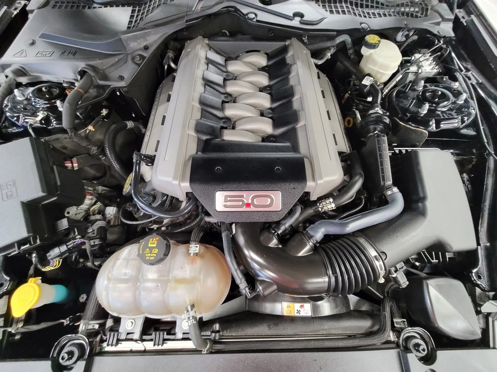 Another view of 2016 Ford Mustang GT Premium for sale in New Albany, IN at HyperCars