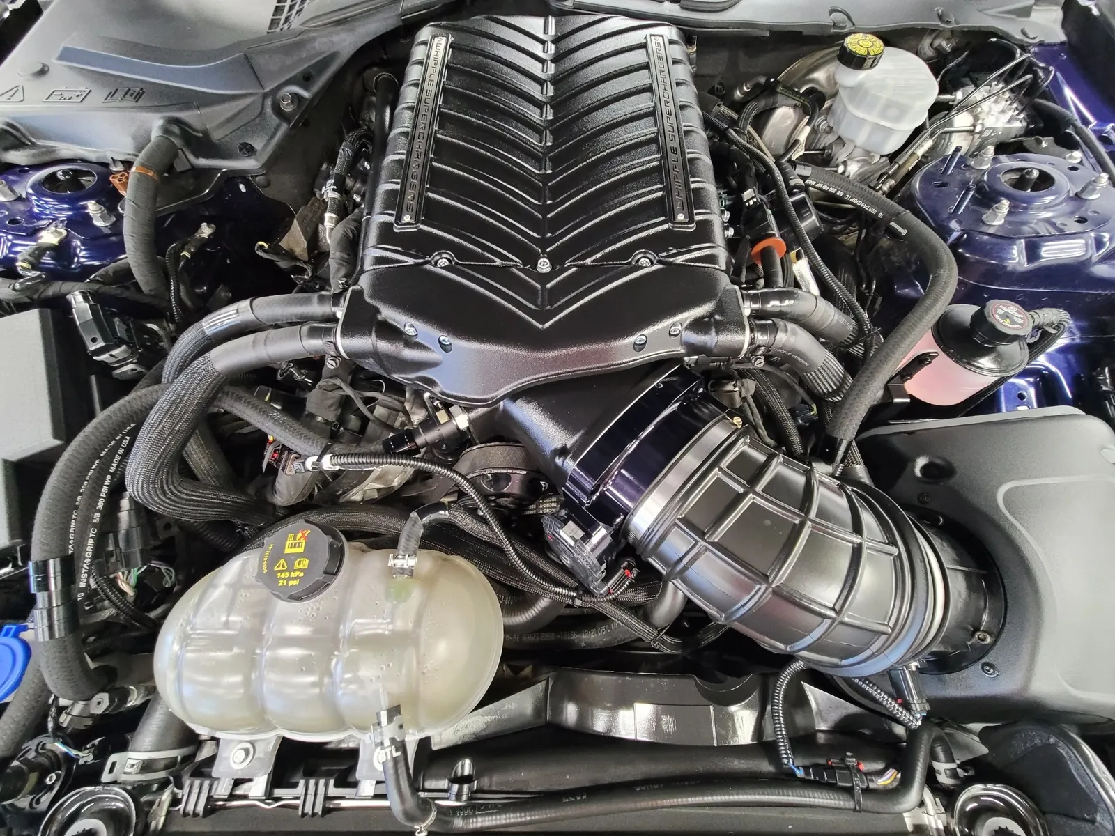 Photos of 2020 Ford Mustang GT for sale in New Albany, IN at HyperCars