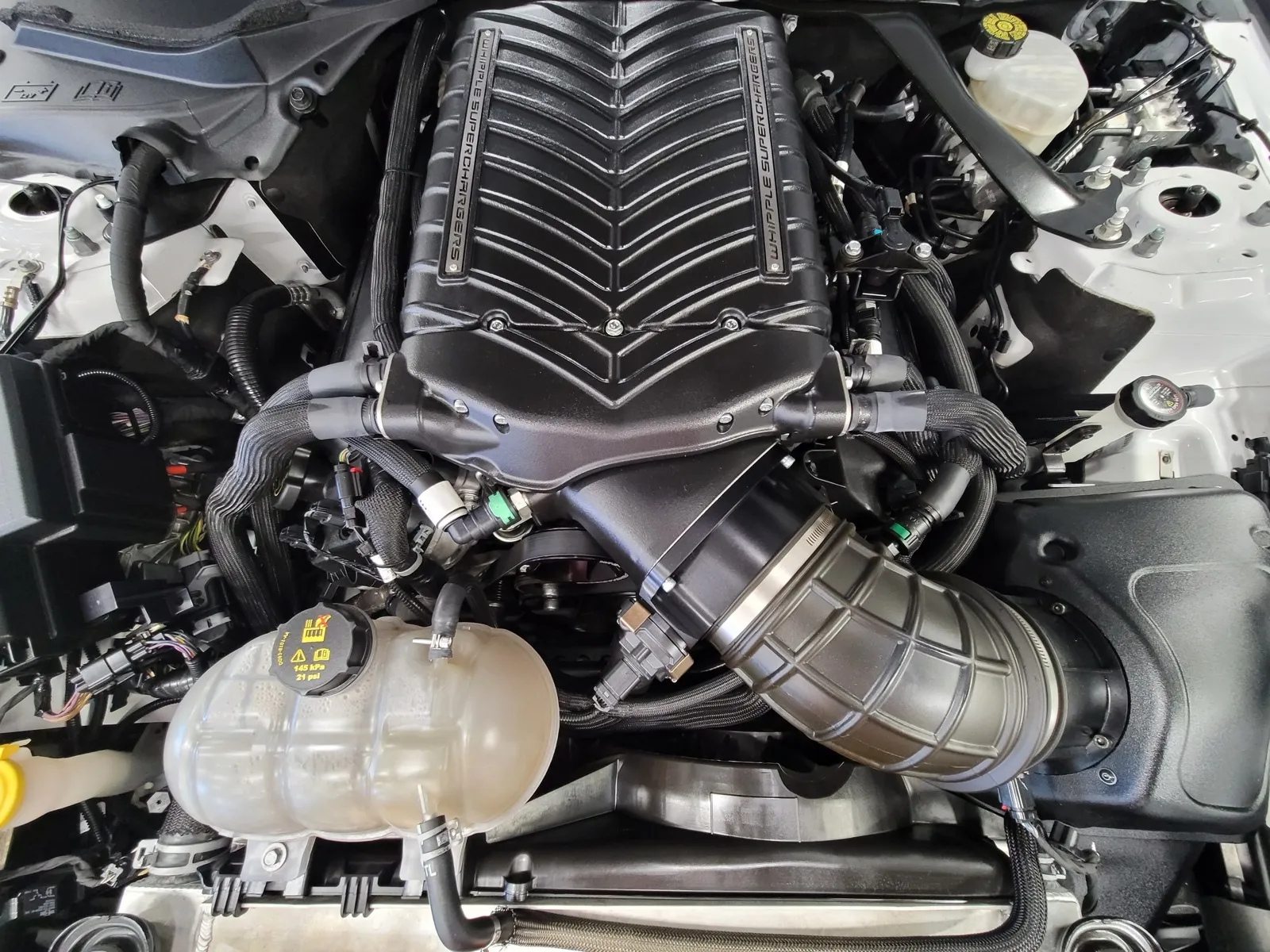Another view of 2018 Ford Mustang Shelby GT350 for sale in New Albany, IN at HyperCars