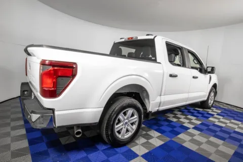 More photos of 2024 Ford F-150 XL at Apple Sport Imports, TX