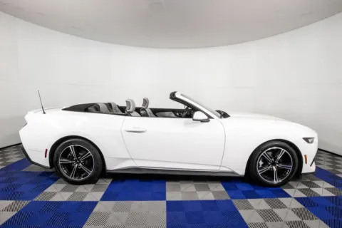 More photos of 2024 Ford Mustang EcoBoost Premium at Apple Sport Imports, TX