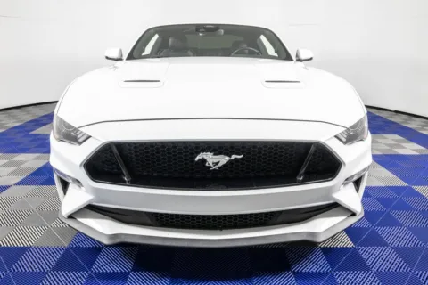 Photos of 2023 Ford Mustang GT Premium for sale in Austin, TX at Apple Sport Imports