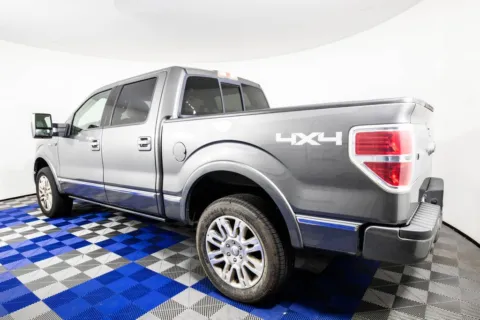 More photos of 2009 Ford F-150 Platinum at Apple Sport Imports, TX