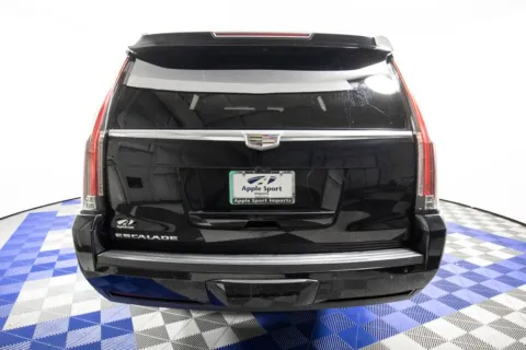 More photos of 2019 Cadillac Escalade ESV Luxury at Apple Sport Imports, TX