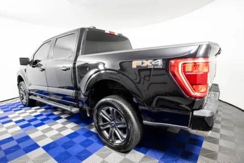 More photos of 2023 Ford F-150 XLT at Apple Sport Imports, TX