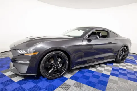 Gray 2023 Ford Mustang EcoBoost Premium for sale in Austin, TX