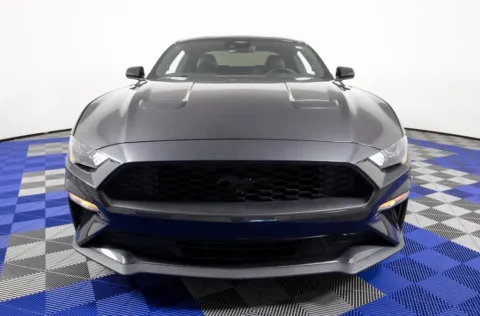 Photos of 2023 Ford Mustang EcoBoost Premium for sale in Austin, TX at Apple Sport Imports