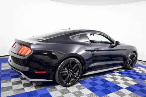 More photos of 2016 Ford Mustang EcoBoost Premium at Apple Sport Imports, TX