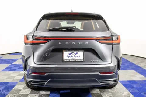 More photos of 2025 Lexus NX 250 Premium at Apple Sport Imports, TX