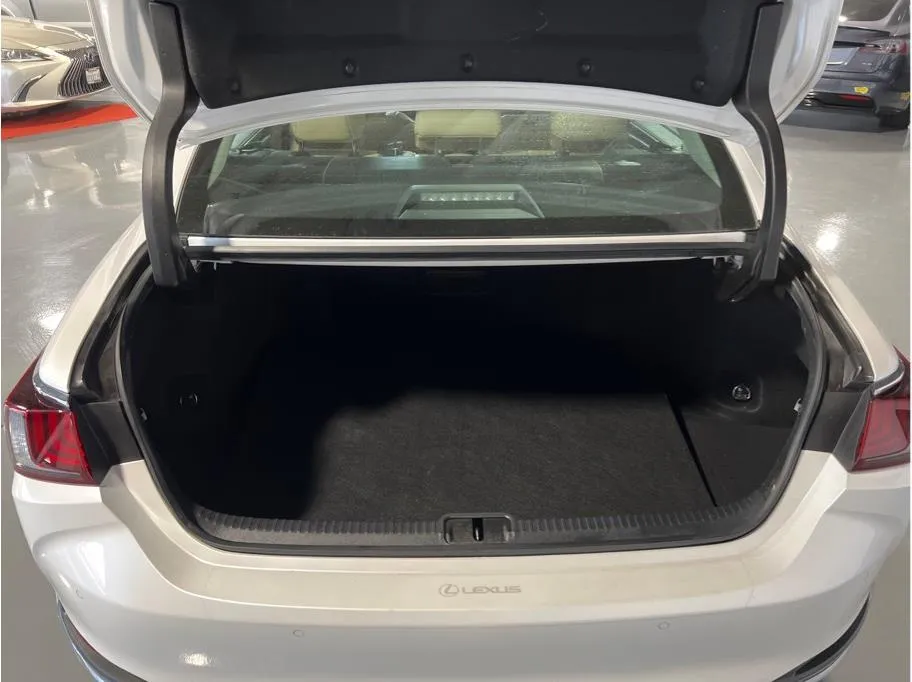 2021 Lexus ES 300h photo 4
