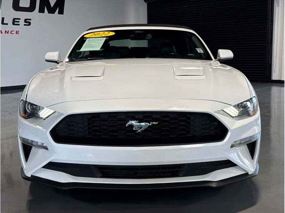2022 Ford Mustang EcoBoost Premium Convertible photo 9