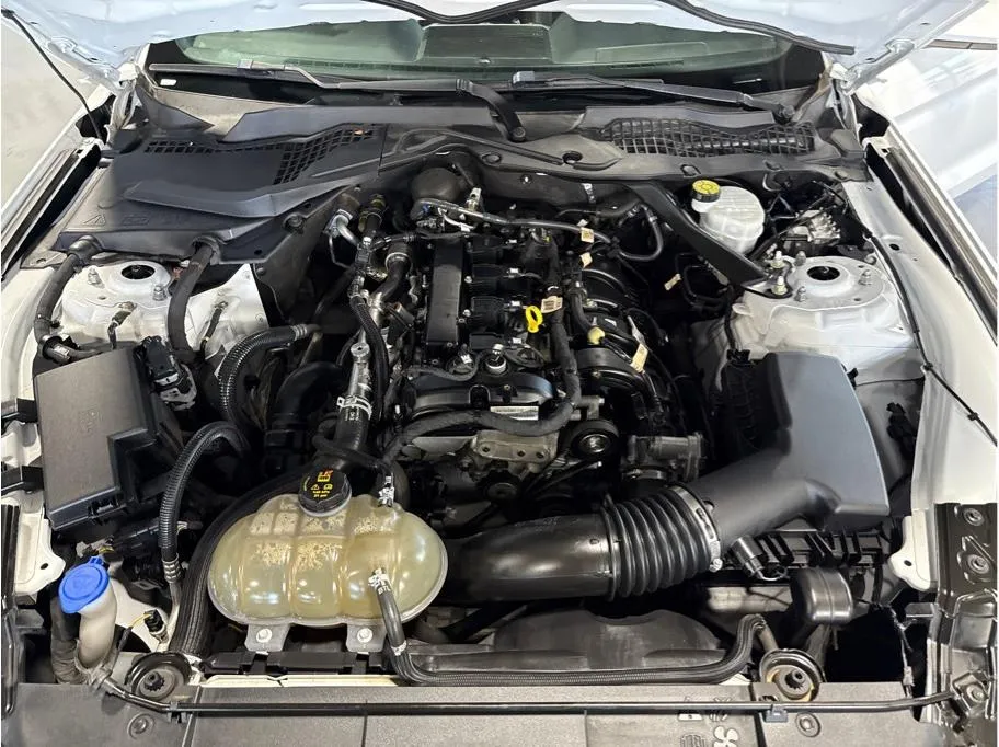 2022 Ford Mustang EcoBoost Premium Convertible photo 18