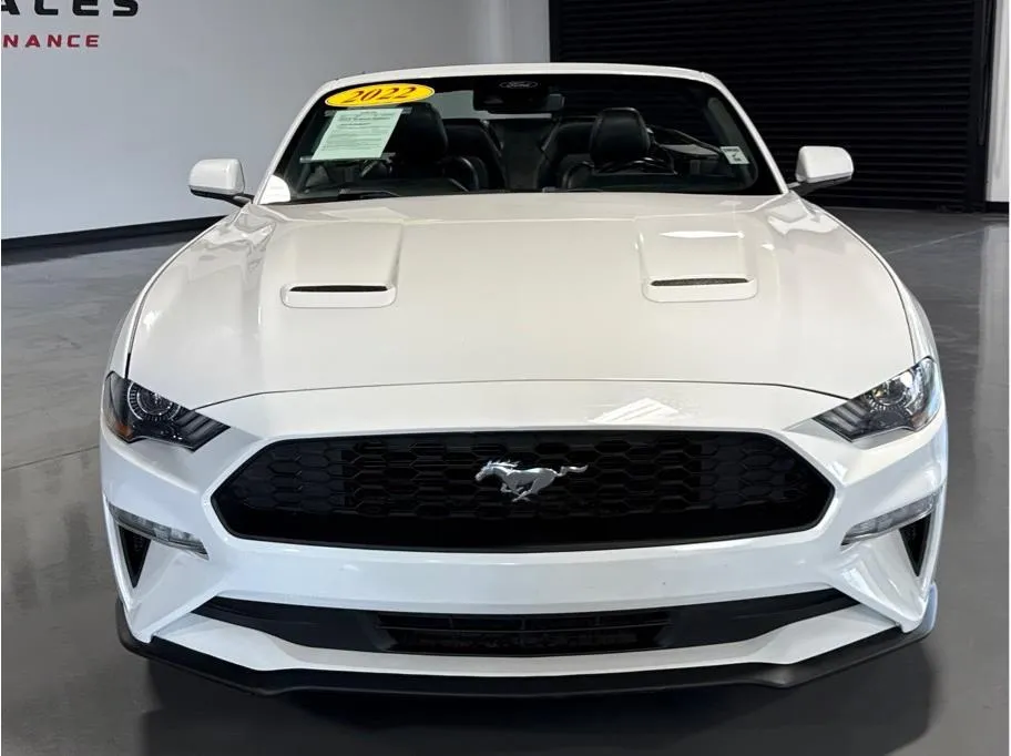 2022 Ford Mustang EcoBoost Premium Convertible photo 12