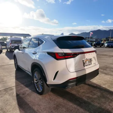 More photos of 2022 Lexus NX 350 Luxury at Ohana Motors, HI