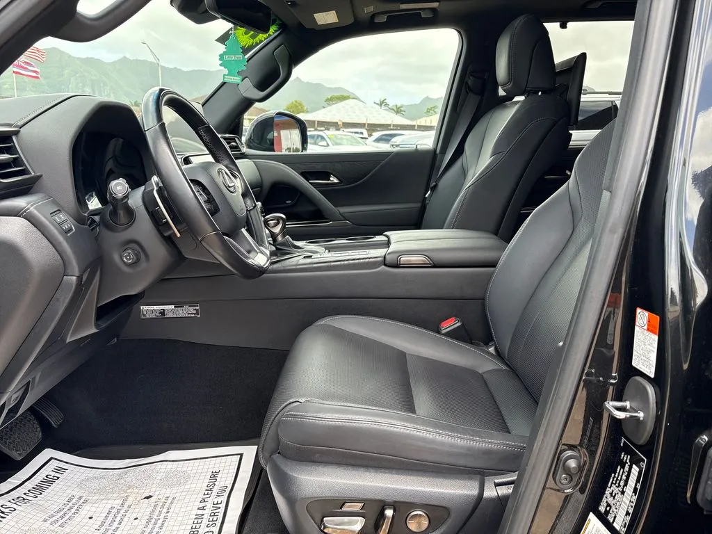 2023 Lexus LX Luxury - Photo 10