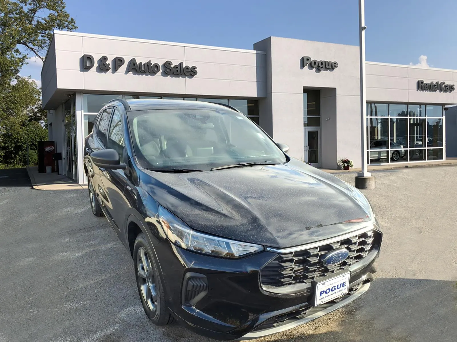 Black 2024 Ford Escape ST-Line for sale in Powderly, KY