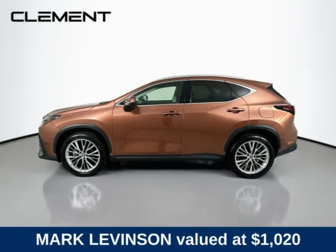 More photos of 2025 Lexus NX 350 Luxury at Clement Hyundai, MO