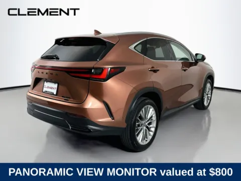 More photos of 2025 Lexus NX 350 Luxury at Clement Hyundai, MO