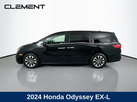 More photos of 2024 Honda Odyssey EX-L at Clement Hyundai, MO