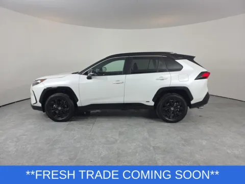 More photos of 2024 Toyota RAV4 Hybrid XSE at Clement Hyundai, MO