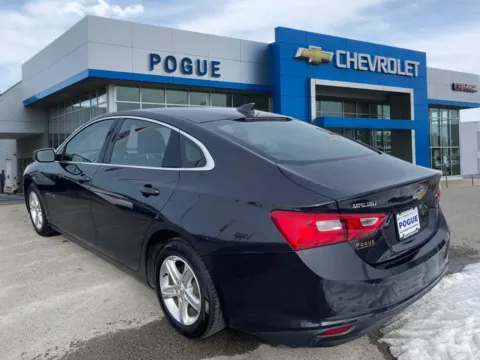 Another view of 2023 Chevrolet Malibu LT for sale in Powderly, KY at Pogue Chevrolet, INC.