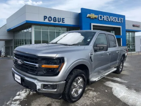 More photos of 2025 Ford F-150 XLT at Pogue Chevrolet, INC., KY
