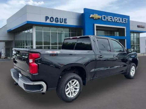 Photos of 2023 Chevrolet Silverado 1500 LT for sale in Powderly, KY at Pogue Chevrolet, INC.